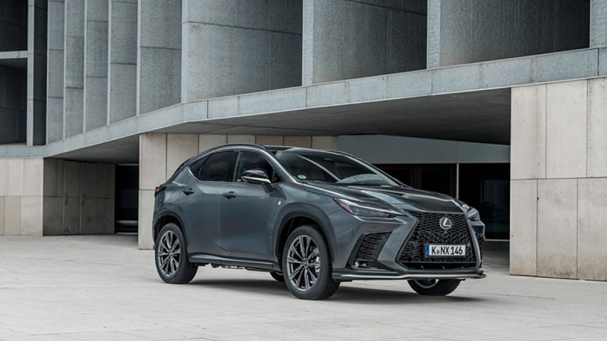 B sınıfı ehliyet, otomobil ve kamyonet kullanmak isteyen sürücüler için en yaygın sürücü belgesi türüdür. Günlük kullanımda tercih edilen binek araçların büyük çoğunluğu bu sınıf kapsamındadır.